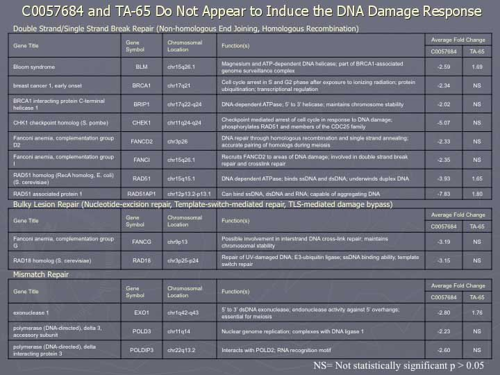 ta-65 doesn't upregulate DNA damage response