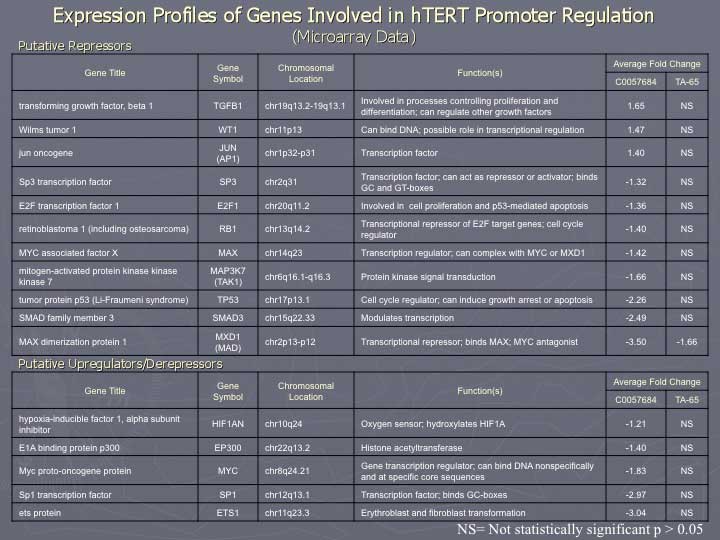 ta-65 has no effect on htet promotion