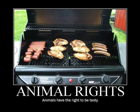 animalrights