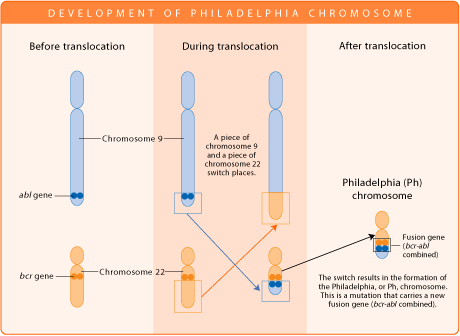 Phildelphia Chromosome