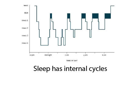Sleep is quantized and structured – Recharge Biomedical