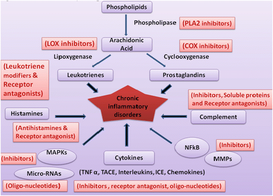 COVID-19 update: Exosomes for ARDS? – Recharge Biomedical