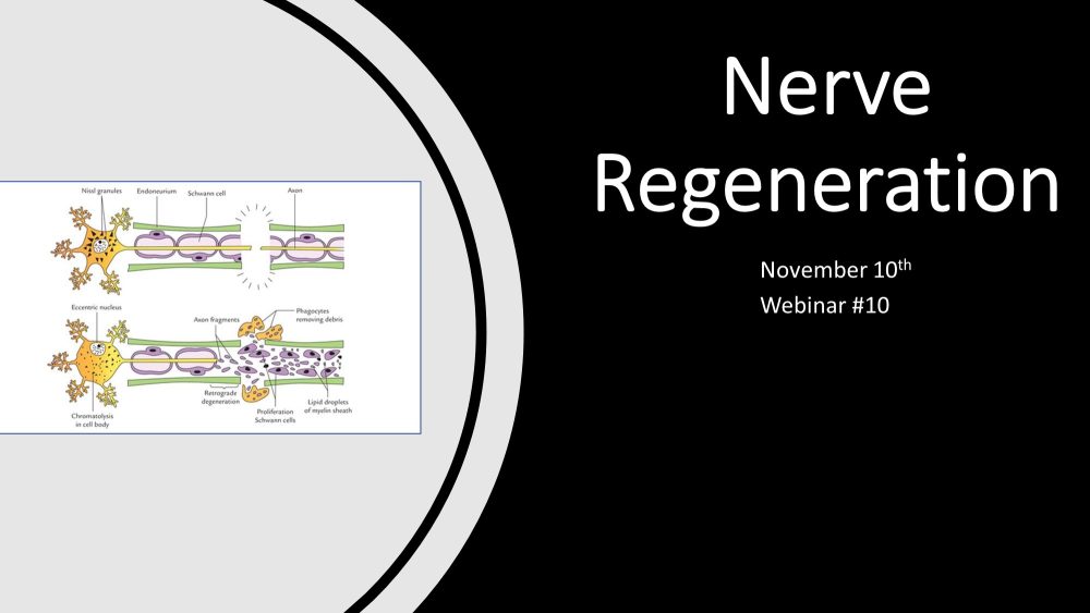 webinar-11-nerve-regeneration-recharge-biomedical